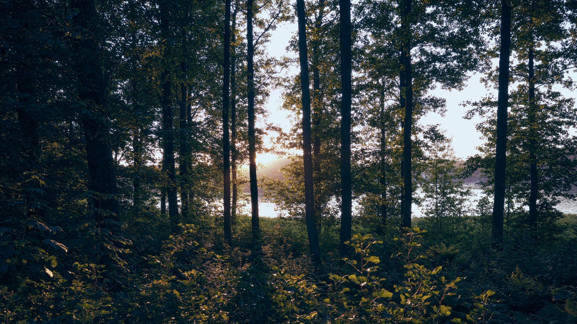 Landscape-13-scaled-aspect-ratio-16-9
